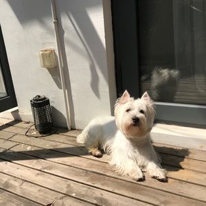 Meet your Posher, Jay